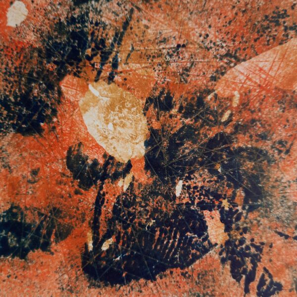 Edith Brouwer - Nutshell 1 (1)