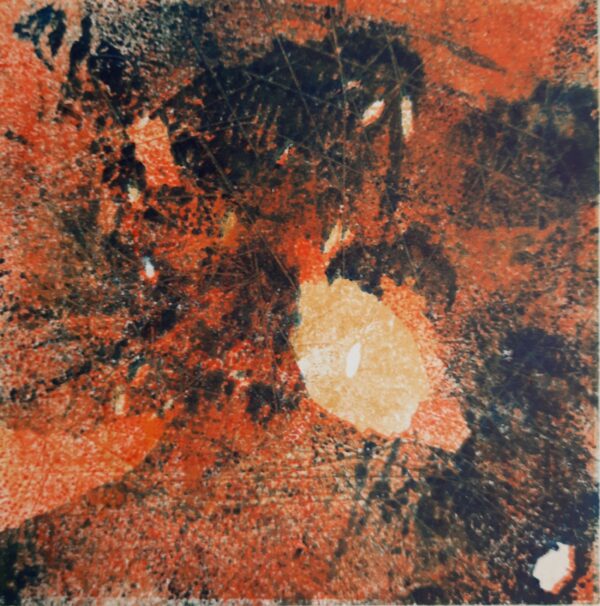 Edith Brouwer - Nutshell 1 (2)