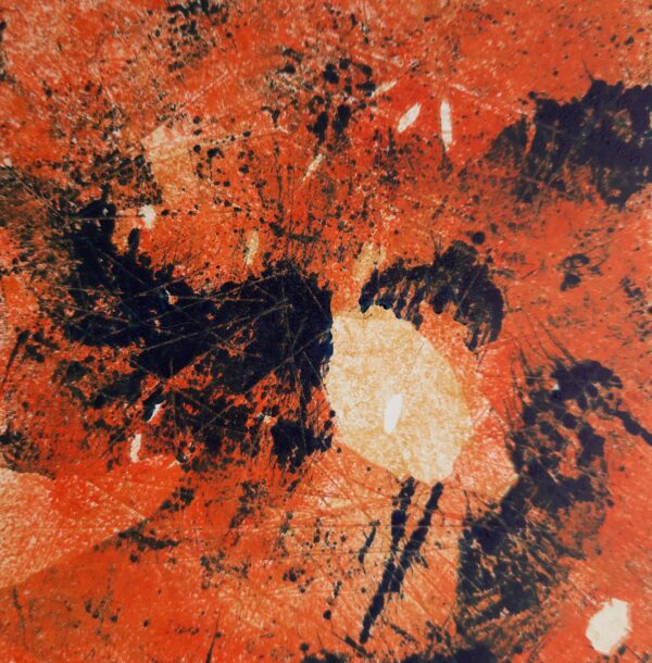 Edith Brouwer - Nutshell 1 (4)