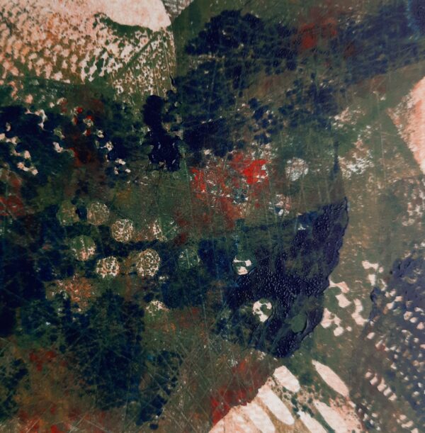Edith Brouwer - Nutshell 2 (2)